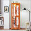 Vitrine lumineuse vitrée-1915776235