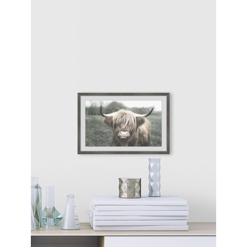 Shaggy Cattle Hair - Print, Grey Framed Paper, 41cm H x 41cm W x 3.81cm D