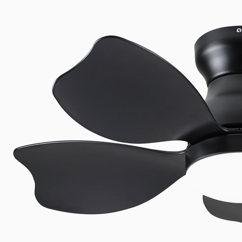 Ventilateur de plafond 29,96 po avec télécommande et ensemble d'éclairage inclus, Noir