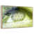 Floating Frame Natural Wood