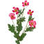 Sprays floraux artificiels Cosmos - 31 po - rose vif - ensemble de 6