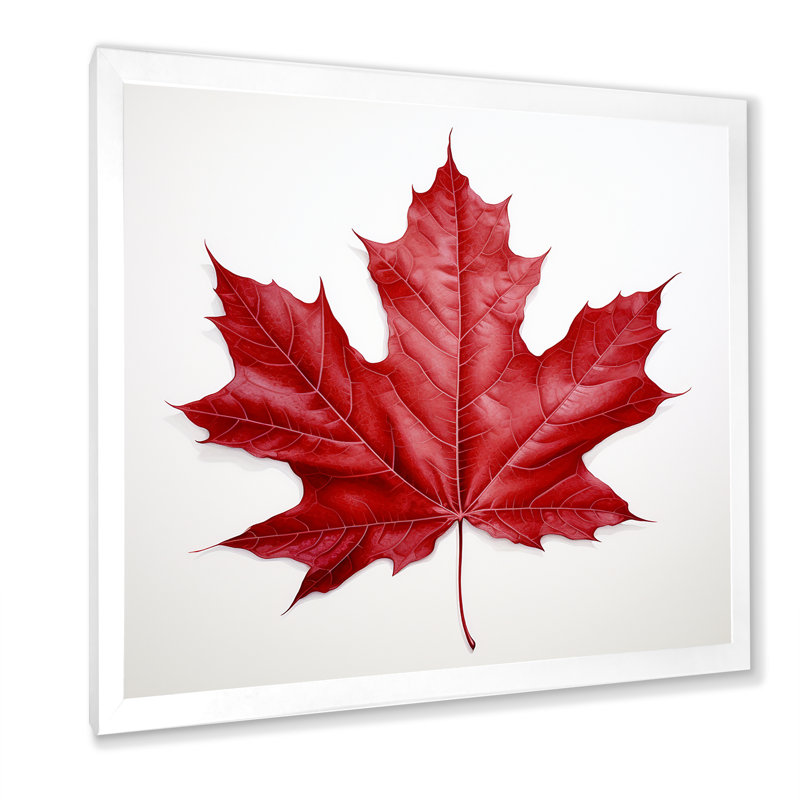 Scarlet Maple Leaf Simplicity I, White Single Picture Framed, 16" H x 16" W x 1" D