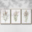 3 pièces Dicat Botanical I-97757802-97757803