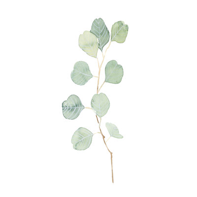 " Soft Eucalyptus Branch IV " by Emma Scarvey Painting Print