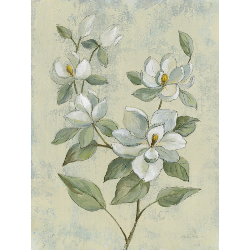 Sauge magnolia - reproduction sur toile tendue, H 32 po x l 24 po