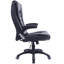 Mannion Executive Chair with Headrest-32316780