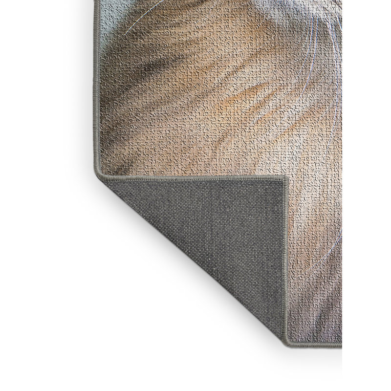 Tapis brun Amazing Animals 34, Rectangle 2 pi x 3 pi