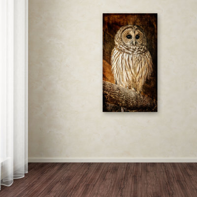 " Wisdom " by Lois Bryan