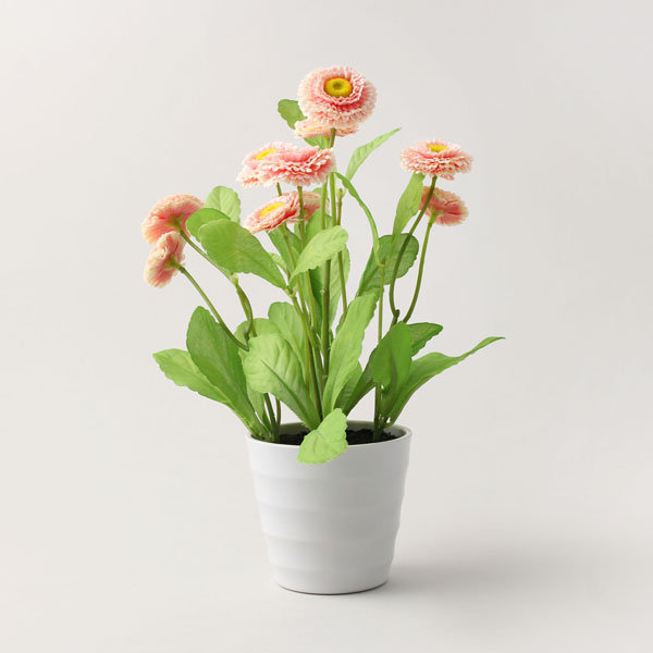 29cm Plant