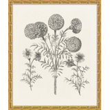 Bessler Study Neutral 11' Framed Graphic Art Print on Glass