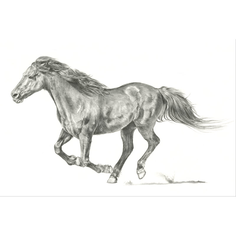 Wild Horse Portrait I by Jennifer Paxton Parker - Painting, 51 cm H x 76 cm W, Wrapped Canvas