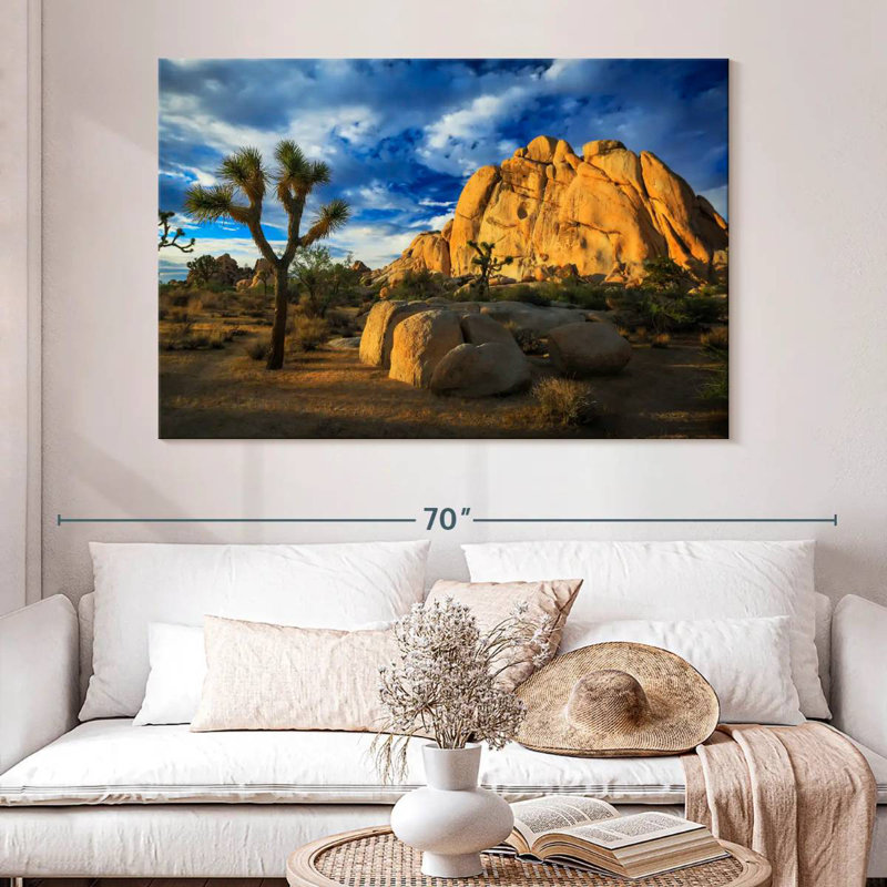 Nicci Joshua Tree Park Old Woman Rock, H 34 po x l 51 po