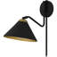 Applique murale 1 lumière noir mat Alterma