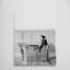 Penguin in Bath Tub Funny Bathroom Wall Art - Wrapped Canvas Art Prints-517190715