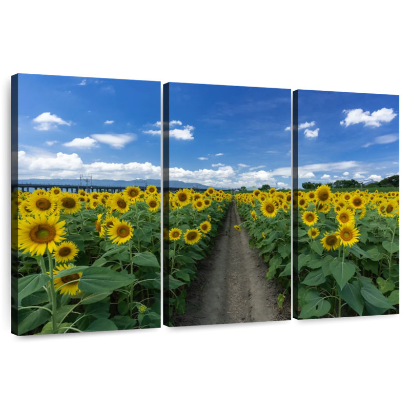 Alvord Sunflower Field Path, 42" H x 65" W