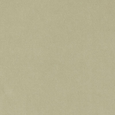 Velvet Encyclopedia III Fabric