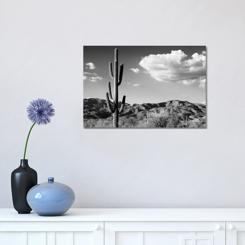 Saguaro Cactus Sunrise by Philippe Hugonnard - Wrapped Canvas Print, 30.48 cm H x 45.72 cm W
