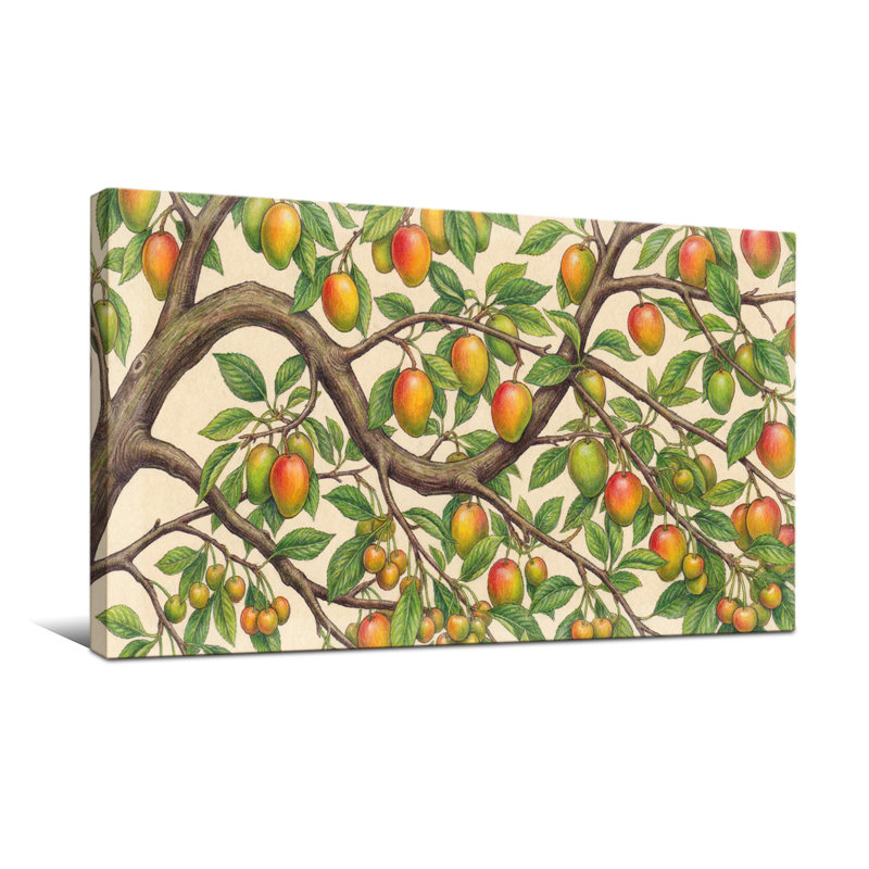 Plantes et fleurs branches de manguier avec fruits mûres et feuilles vertes, H 16 po x l 32 po
