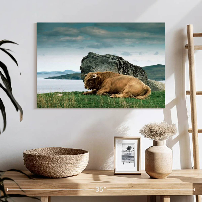 Brampt Highlander Bull, 16" H x 24" W