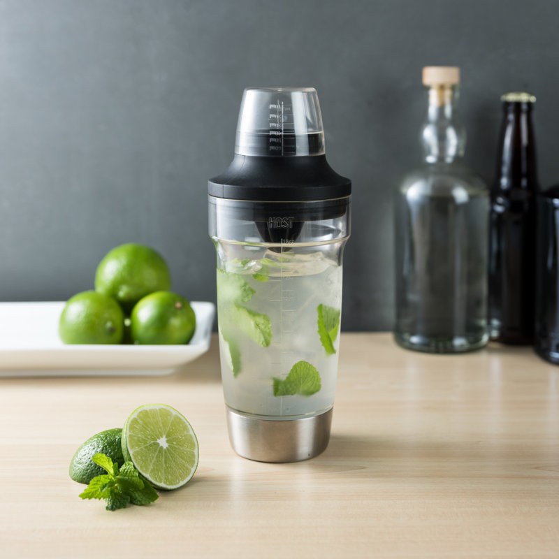 Stainless Steel and Clear All-in-One Cocktail Shaker Set