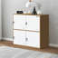 Storage Cabinet