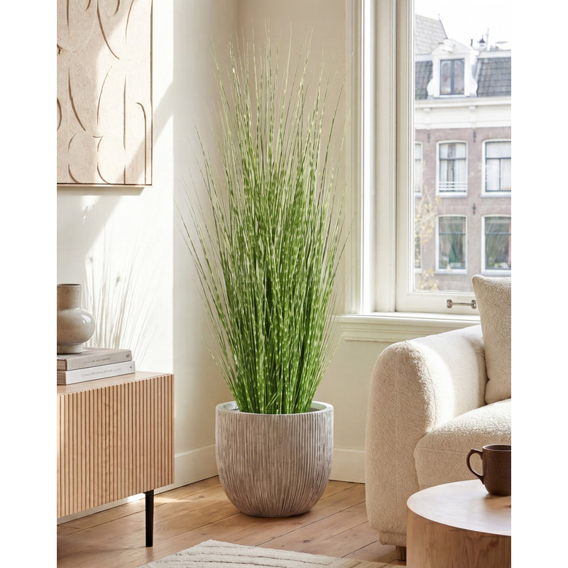 ZEBRA GRASS 120 cm H Faux Foliage and Onion Grass Plant in Plastic Pot