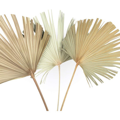 Cotton Arrangement