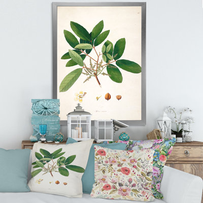 Vintage Botanicals II - peinture sur toile