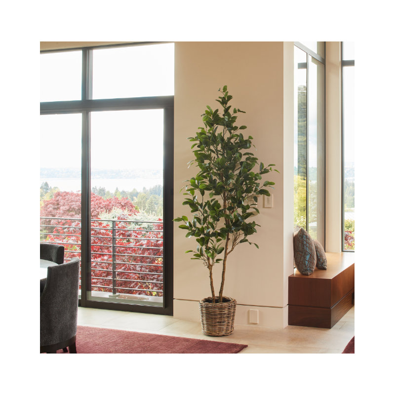 TREE LEMON GROWER 7FT