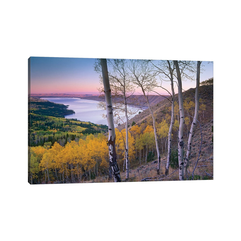 Aspen Forest Overlooking Fremont Lake, Bridger-Teton National Forest, Wyoming II by Tim Fitzharris - Wrapped Canvas Print