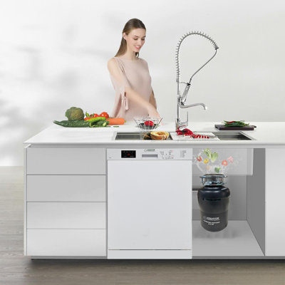 Equator 24 In Dishwasher 14 Place + 3/4 Hp Garbage Disposer Quiet 51db 110v E-star Ada