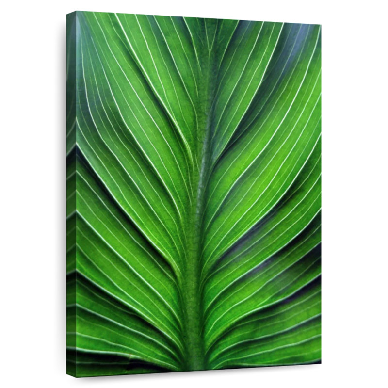 Harnek Leaf Lines, 30" H x 20" W