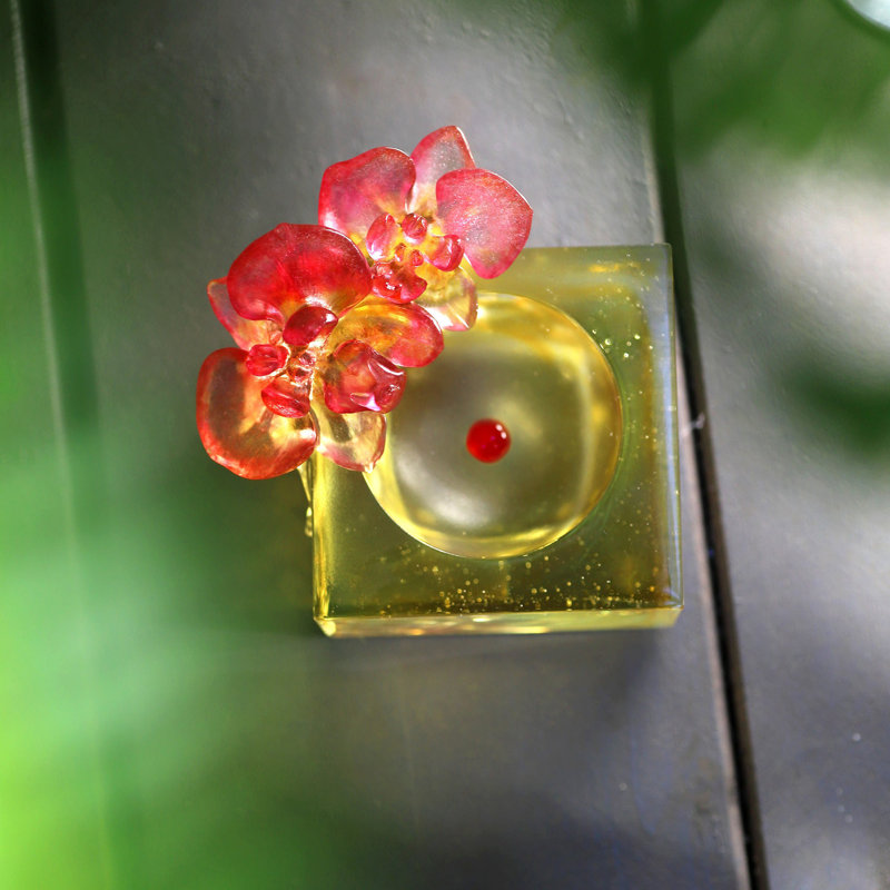 Crystal Flower Moth Orchid, "Red Radiance"