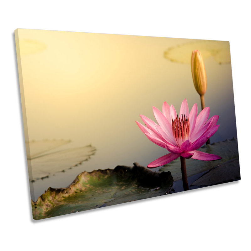 Water Lily Pink Sunset - Wrapped Canvas Print, 61cm H x 91.4cm W
