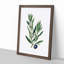 Olive Tree Flowers Illustration - Picture Frame Painting Print-55581169-55581170
