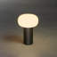 Antibes Cordless Table Lamp - USB Rechargeable, RGB Dimmable LED, Elegant Design-110764247