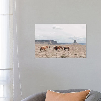 Arizona 1 Piece Wrapped Canvas Wall Art