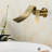 Wall Mounted Optional Single-handle Bathroom Faucet-61790068