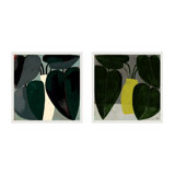 Plant Set Of 2 Painting by Studiom