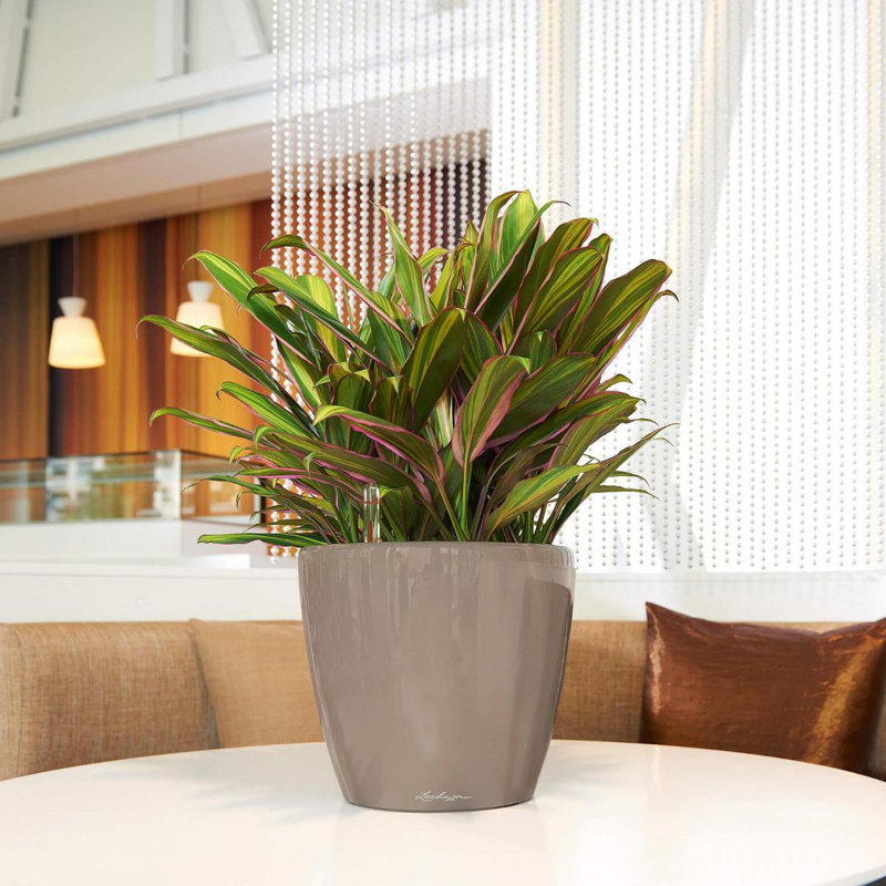 Classico Pot Planter, Taupe, 26cm H x 28cm W x 28cm D