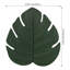Tremplin - Monstera