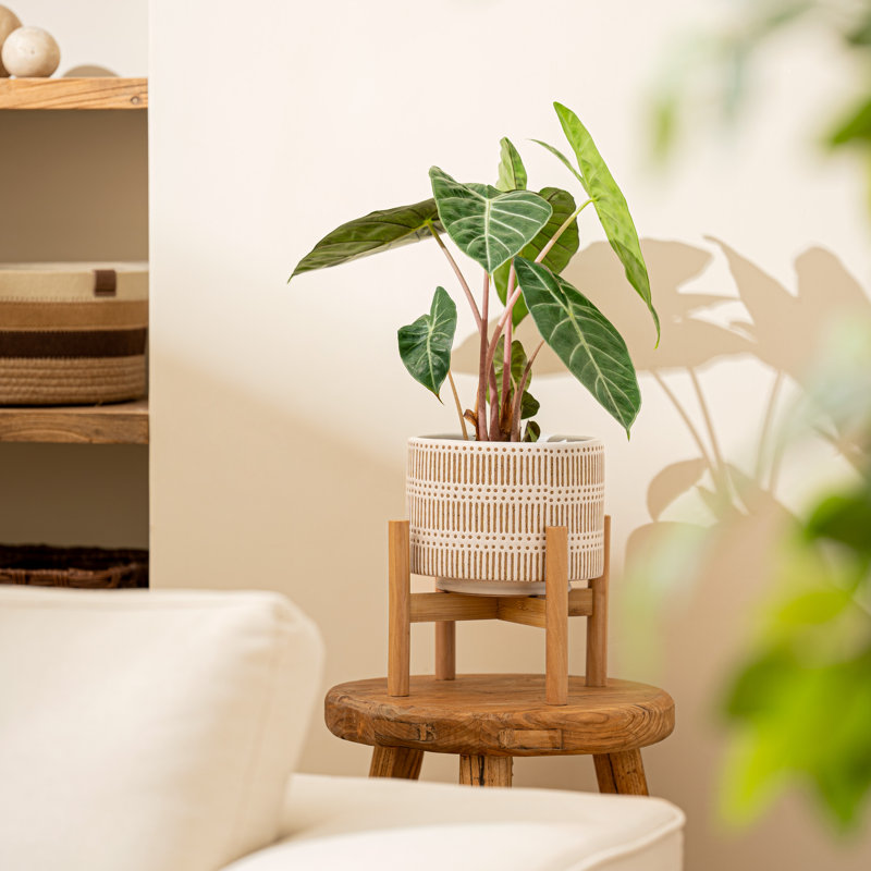 Elayna Ceramic Planter with Wood Stand, Blue