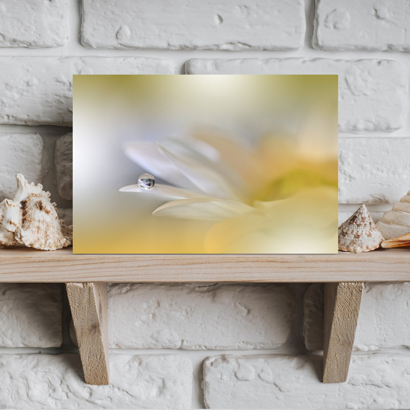 Morning Dewdrop Daisy Delicate Ethereal Serene Daisy Flower Nature Wall Art Print 1 Piece Wrapped Canvas Wall Art