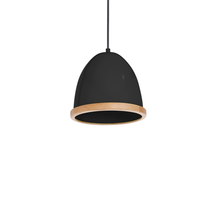 Bridget 1 - Light Dome Pendant, Black, Black