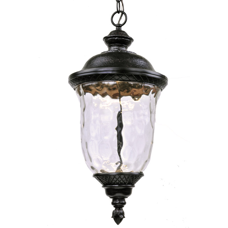 Barritt Outdoor Hanging Lantern