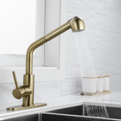 KISRAIS Pull Out Kitchen Faucet