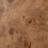 Leeds Desk-Caramel Burl-121416528