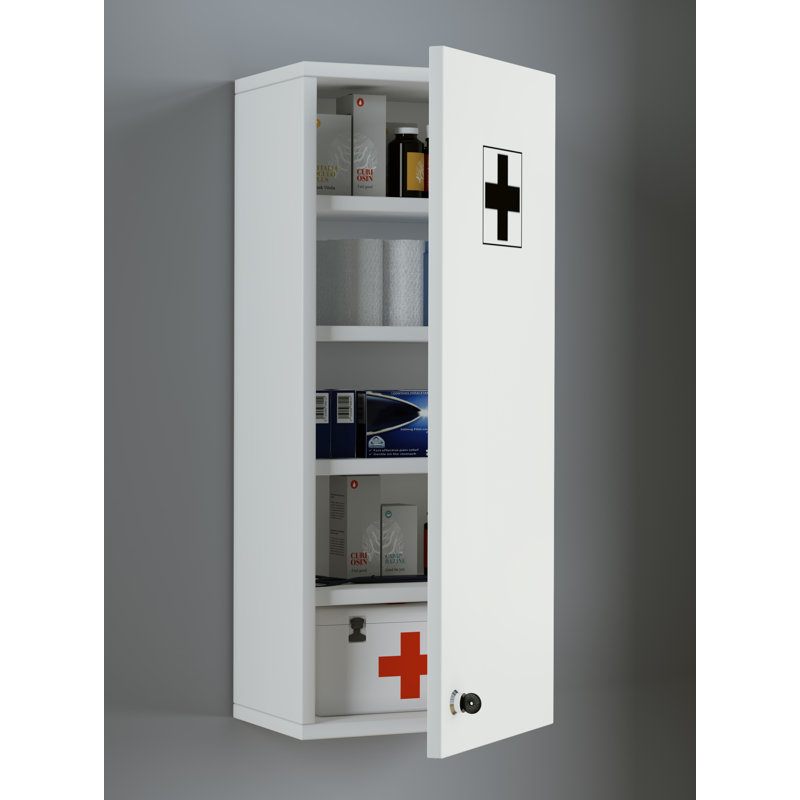 Quispe Mirrored Medicine Cabinet