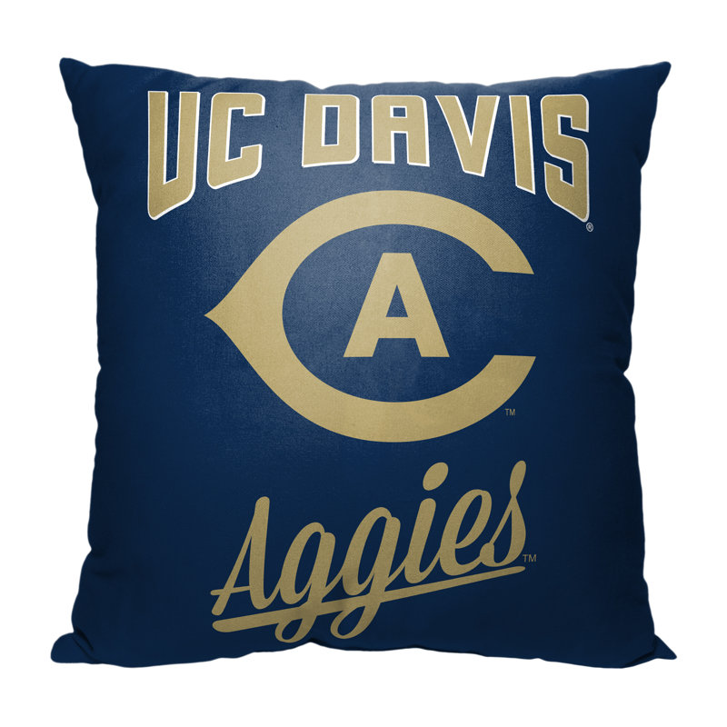Pillow Cover, University of California, Davis