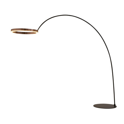 Rushell 82'' Black LED Arched Floor Lamp with USB